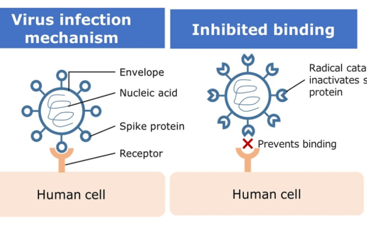 Nissan develops new technology using catalyst active species to inactivate viruses