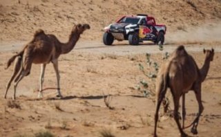 DUBAI INTERNATIONAL BAJA UNDER WAY